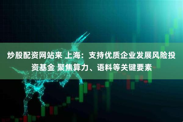 炒股配资网站来 上海：支持优质企业发展风险投资基金 聚焦算力、语料等关键要素