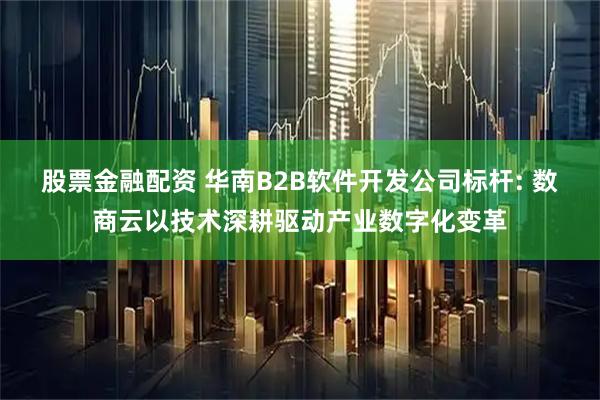股票金融配资 华南B2B软件开发公司标杆: 数商云以技术深耕驱动产业数字化变革