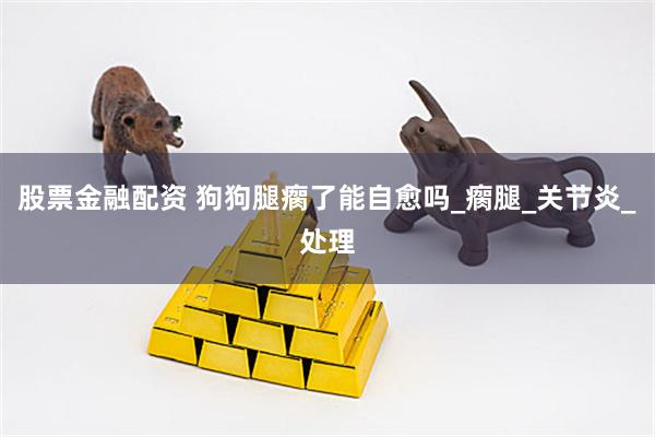 股票金融配资 狗狗腿瘸了能自愈吗_瘸腿_关节炎_处理